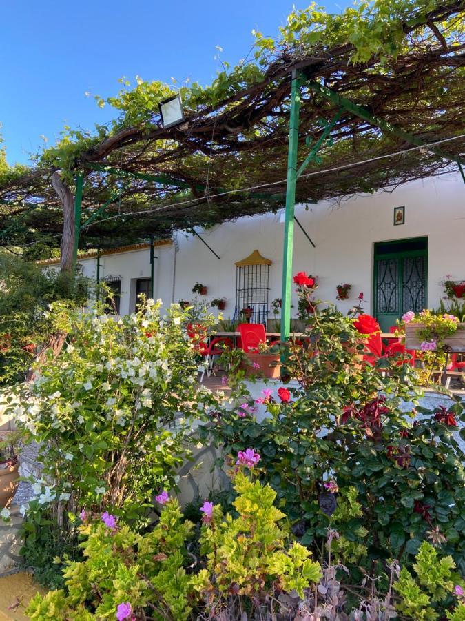 La Ponderosa Casa De Campo Sierra Grazalema Prado Del Rey Esterno foto